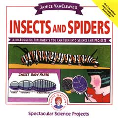 Insects and Spiders Book Cover