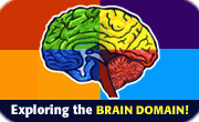Brain GIF