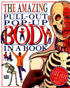 View of Pull Out