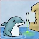 Water pollution