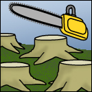Rainforest Destruction