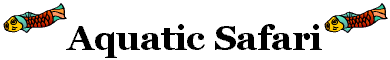 Aquatic Safari