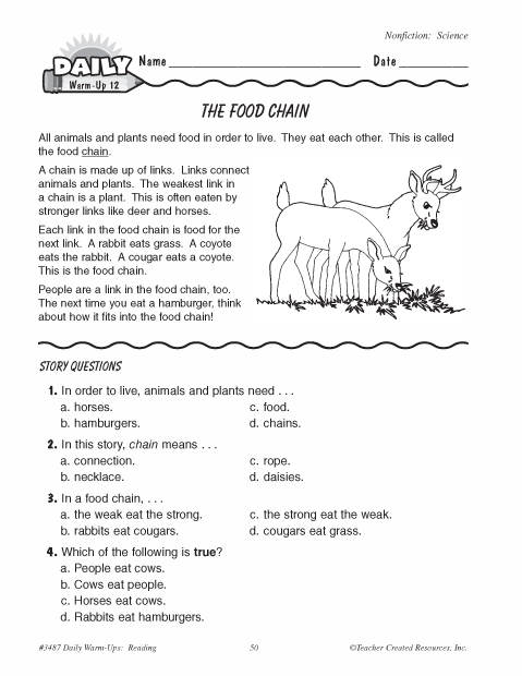 Food Chain Worksheet Pdf