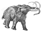 Test Features - Mammoth