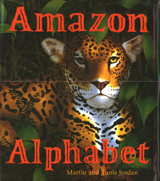 Amazon Alphabet Book Cover