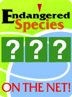 Endangered Species GIF