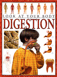 Digestion Book Cover