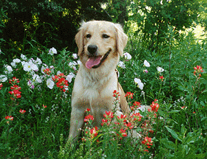 Penny, at age 14 months