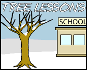 Trees Sprout Classroom Lessons Throughout the Year