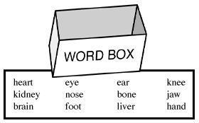 Word Box