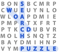 Word Search Puzzle Graphic