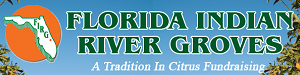 Florida Indian River Groves
