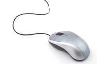 mouse