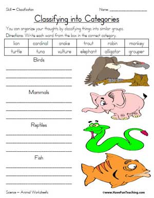 animal classification education world