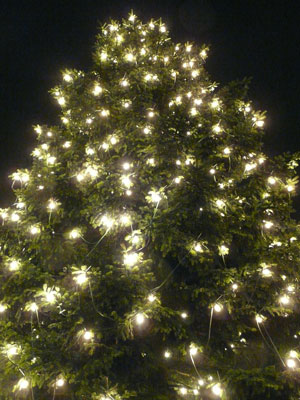 christmas tree