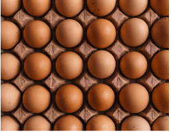 eggs