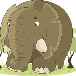 elmer the elephant