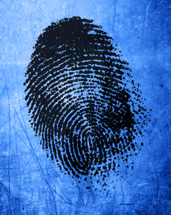 fingerprint