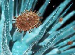 flu virus, pandemics and vaccines
