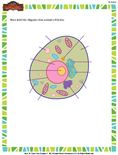 Plant and Animal Cells Worksheet - Download | Education World
