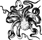 octopus lesson plan