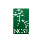 Minda Berbeco's picture