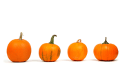 four pumpkins in a row