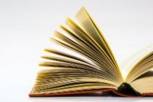 Common Core Standards Won't Boost Reading Comprehension Alone