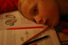 Survey from State’s Education Department Reveals Low Morale Among Teachers