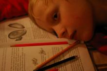 ADA Releases New Guidelines for Students with Dyslexia & Other Learning Disabilities