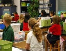Teacher Fired After Attempt to Address Bullying Backfires