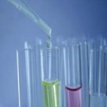 Study Finds Genes May Be a Factor in Levels of Educational Attainment