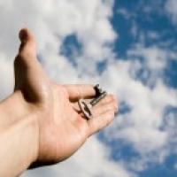 Principals Launch School-Wide Wellness Programs | Education World