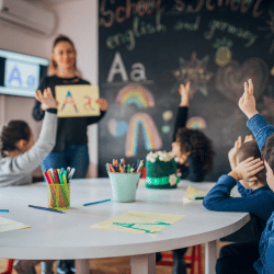 classroom teacher