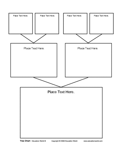 Tree Chart Graphic Organizer